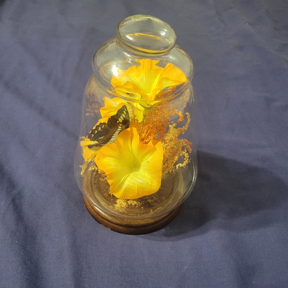 Vintage Preserved Butterfly Taxidermy Terrarium Silk Yellow Flowers - Picture 3 of 6